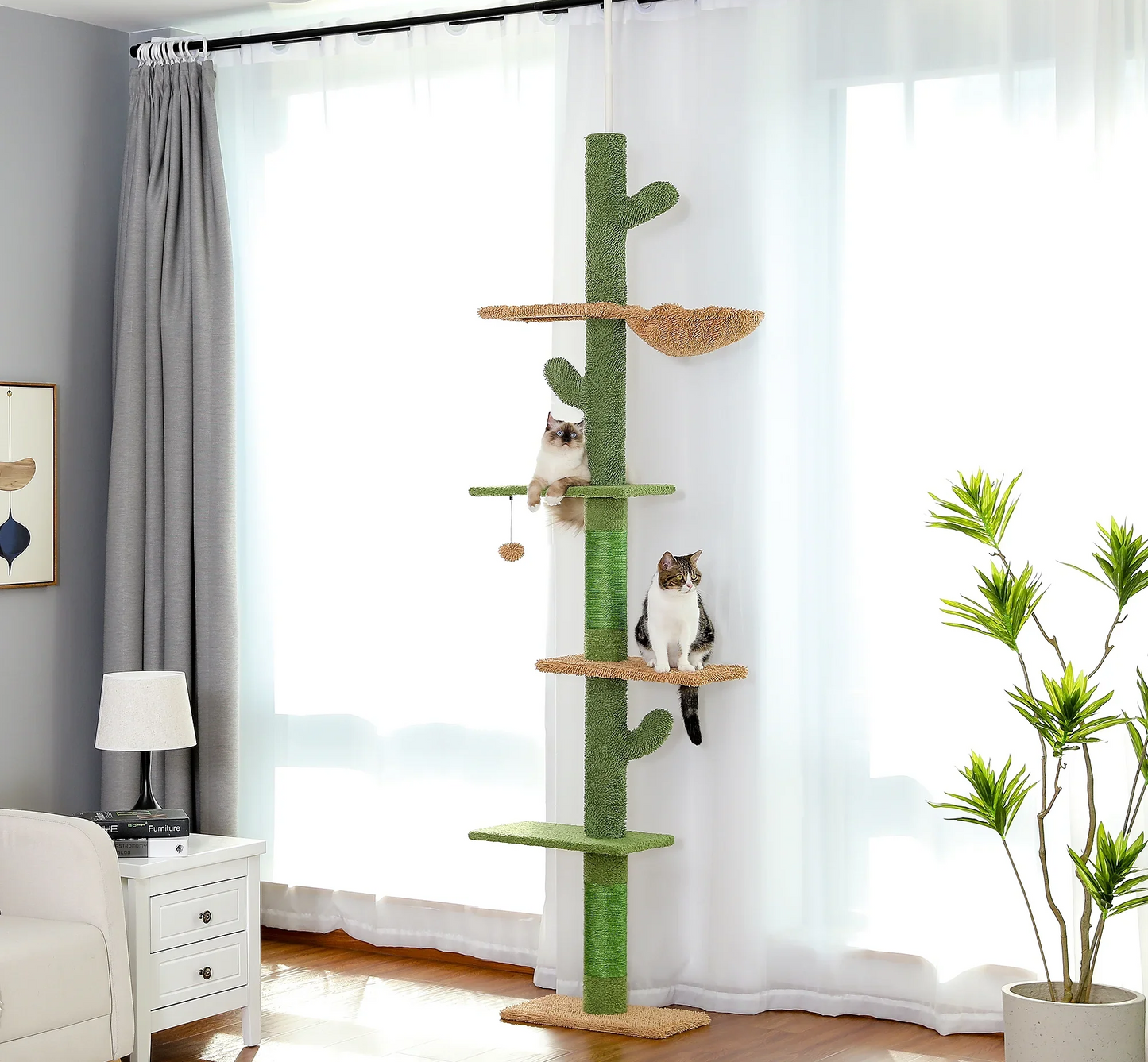 Pico Tree
