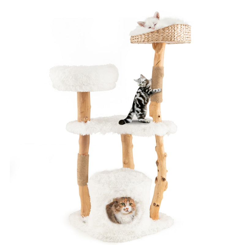 Nimbus Wood Tree