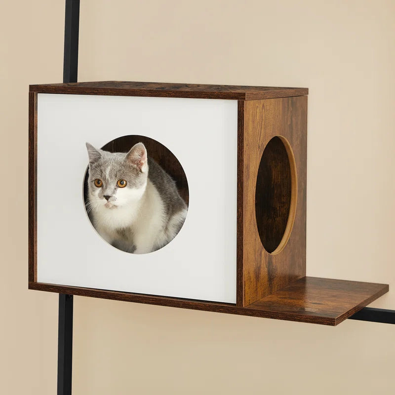 Moku Shelf