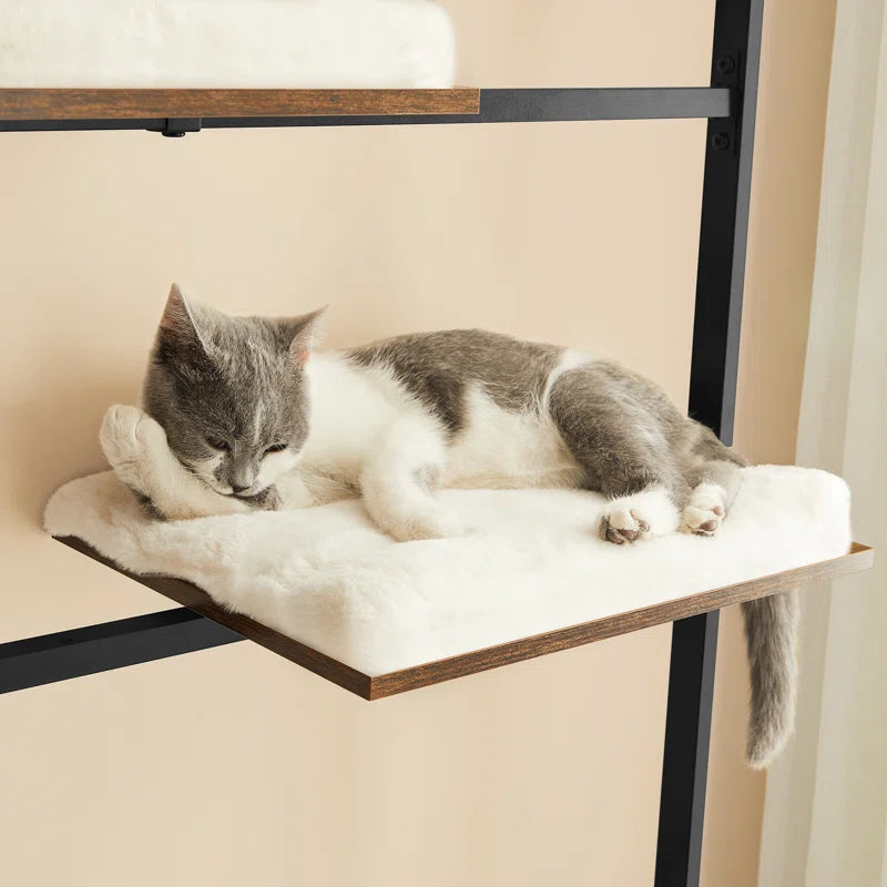Moku Shelf