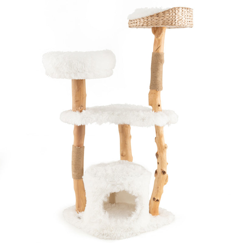 Nimbus Wood Tree