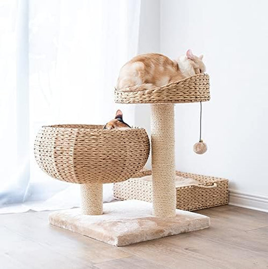 Rattan Bowl