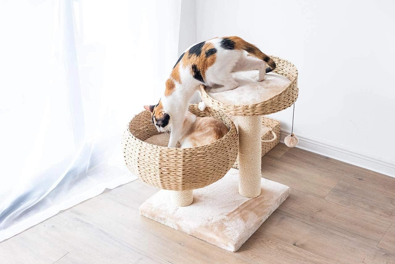 Rattan Bowl