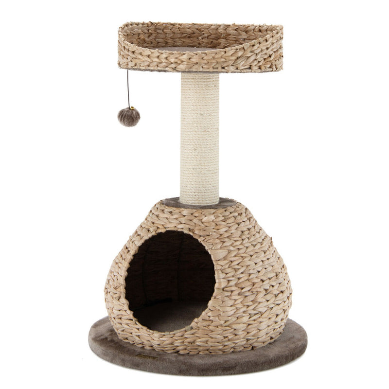 Rattan Hut 