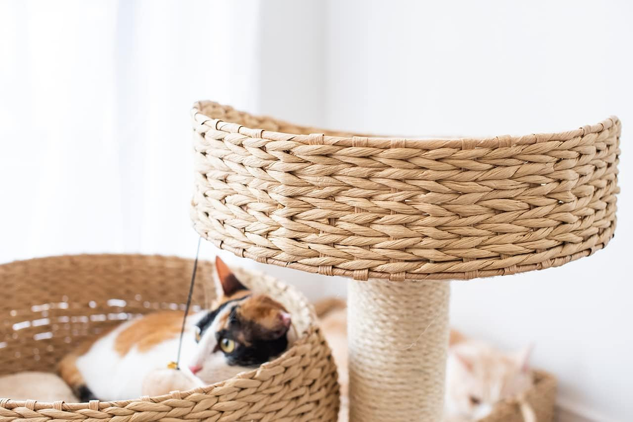 Rattan Bowl